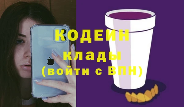 спиды Богородицк