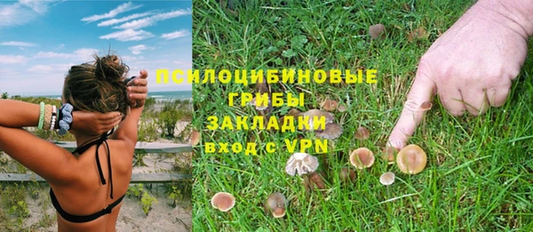 гашиш Бородино